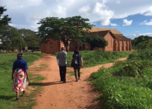 PTs collecting data in Embagweni